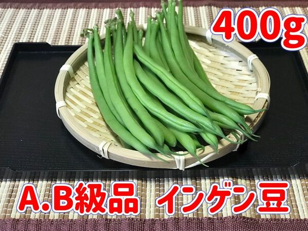 AB級品 インゲン豆 400g【5月18日(日)発送】