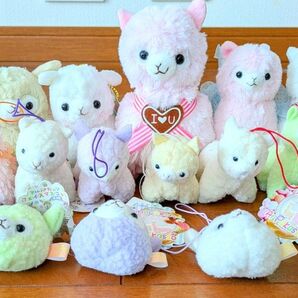 アルパカッソ ぬいぐるみ マスコット 21体