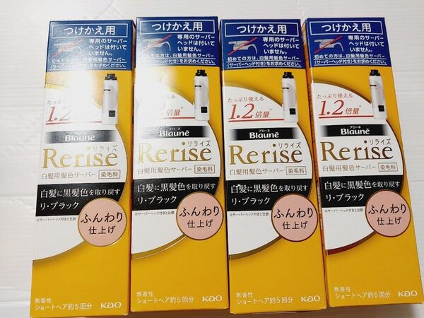 リライズ 白髪用髪色サーバー ふんわり仕上げ ブラック つけかえ用 4個