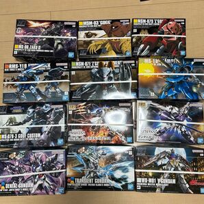 HG ガンプラ 12体セット 未組立新品 ズゴッグ ケンプファー ターンエー