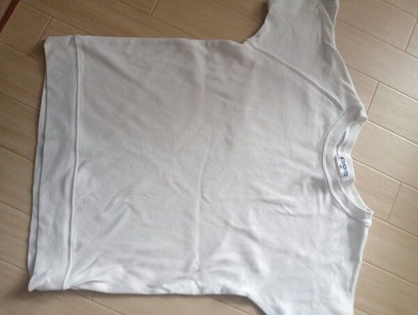 体操服 半袖 白160