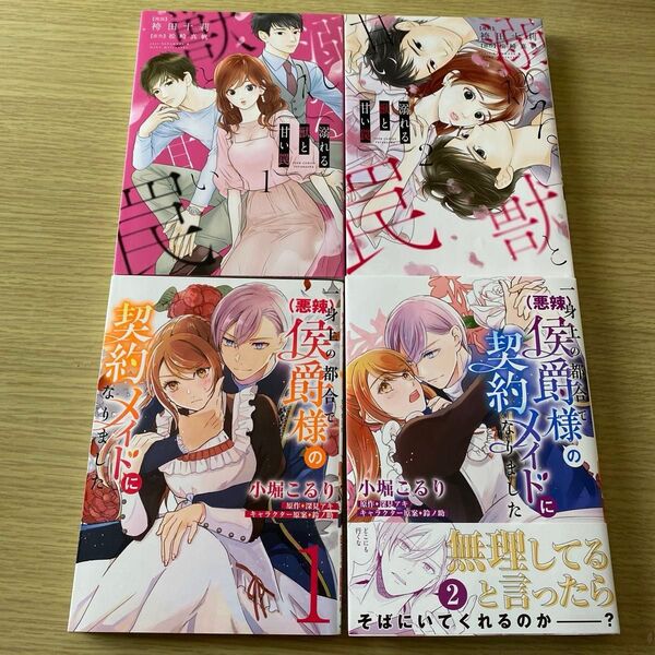 【クーポン利用可】一身上の都合で〈悪辣〉侯爵様の契約メイドになりました 溺れる獣と甘い罠 全巻セット 完結 コミック