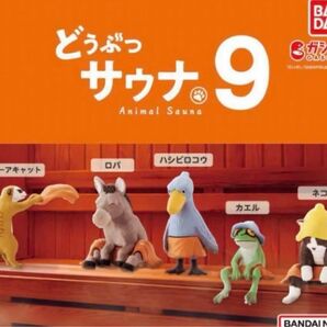 どうぶつサウナ9