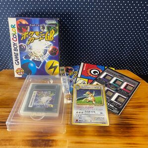 Nintendo ゲームボーイ ソフト ポケモンカードGB カイリュー 付き 任天堂