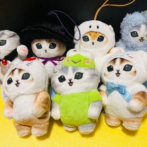 mofusand 猫 ぬいぐるみ マスコット サンリオコラボ シナモン 限定 サンリオ グッズセット シナモロール