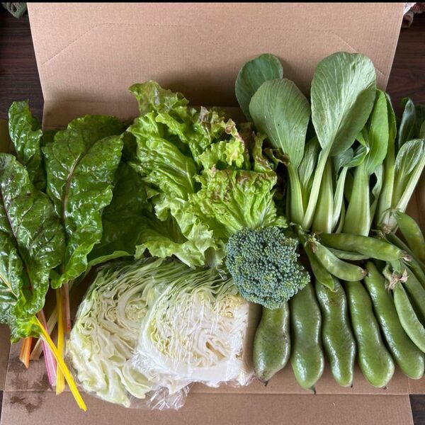 野菜詰め合わせセット