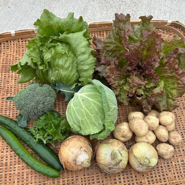 野菜詰め合わせ 採れたてそのまま