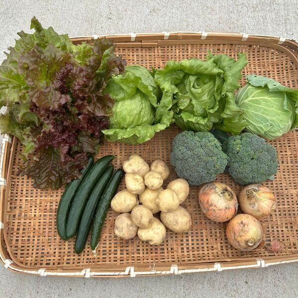 野菜詰め合わせ 採れたてそのまま