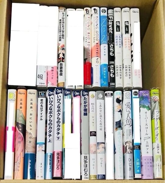 BLコミックス ●300円~ バラ売り可●