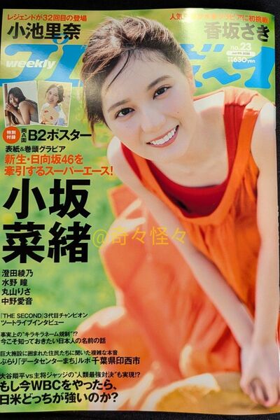 週刊プレイボーイ 2025年No.23