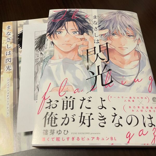 まなざしは閃光 篠芽ゆひ 特典 アニメイト4Pリーフレット ペーパー