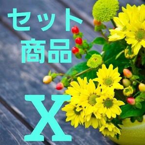 セット商品Xです