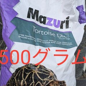 マズリ トータスダイエット 5M21 500g+おまけ