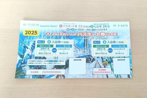 ナガシマスパーランド パスポート券 ナガシマリゾート