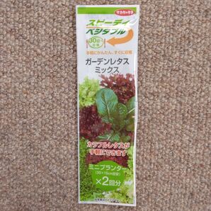 スピーディベジタブル 種