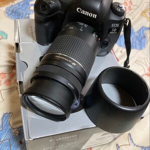 Canon EOS 5D MarkⅣ EF75-300mmレンズセット