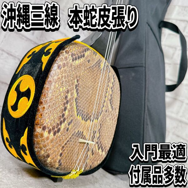 美品 沖縄 三線 本蛇皮 一枚張り 琉球 三味線 ケース ウマ 入門書 伝統 楽器 初心者 和楽器