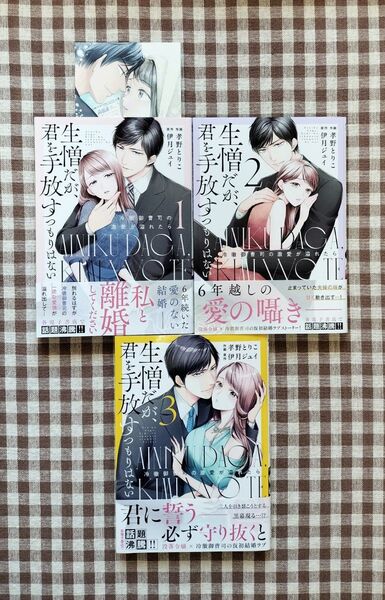 『生憎だが、君を手放すつもりはない 冷徹御曹司の激愛が溢れたら 1~3』孝野とりこ