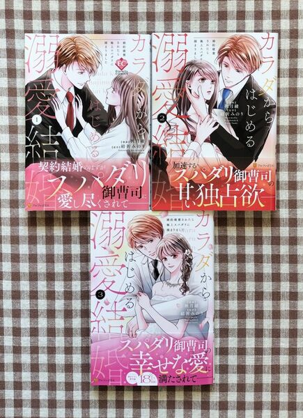 『カラダからはじめる溺愛結婚 婚約破棄されたら極上スパダリに捕まりました 1~3(完)』秋月綾