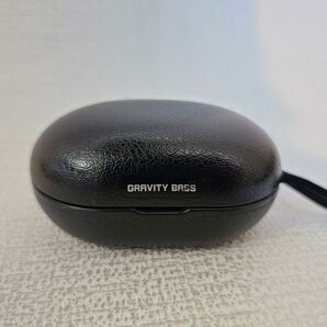 ラディウス Radius HP-G200BT ワイヤレスイヤホン ケース 充電器