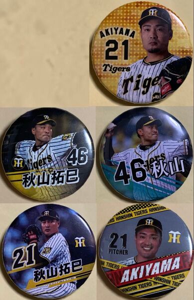 阪神 タイガース 秋山拓巳選手 シークレット 缶バッジ 5点セット