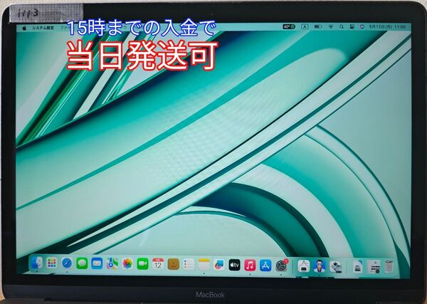 【完動品】MacBook A1534 2015~2017 上半身部 LCD 12インチ液晶パネル スペースグレイ 1113