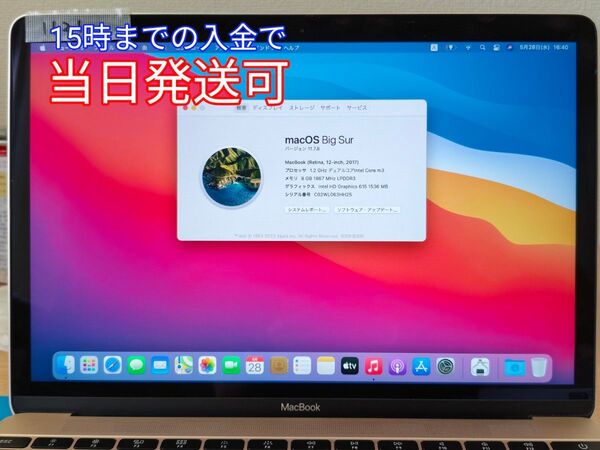【完動品】MacBook A1534 2015~2017 上半身部 LCD 12インチ液晶パネル ゴールド 1121