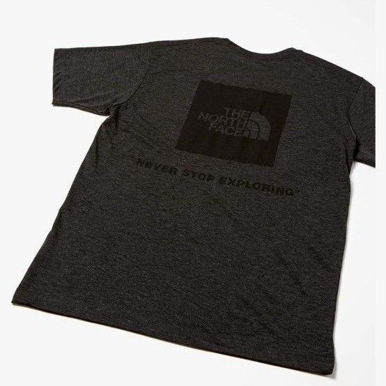 新品 タグつき THE NORTH FACE ザ・ノース・フェイス ショートスリーブフラッシュドライメリノクルー