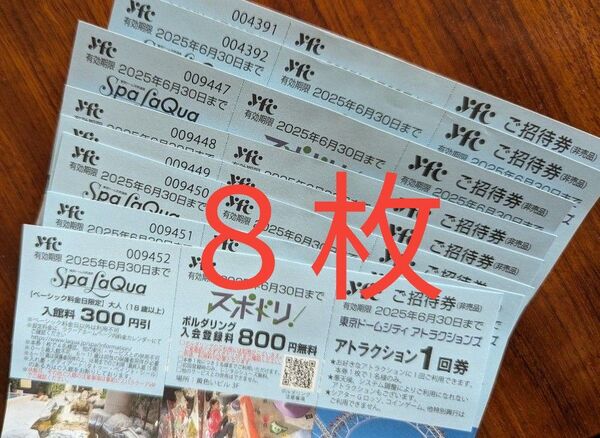 東京ドームシティアトラクションズ アトラクション1回券×8枚 有効期限2025年6月30日まで