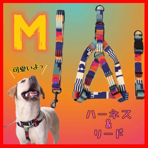 Mサイズ 犬用 ハーネス カラフル 首輪 リード 小型犬 中型犬 3点セット