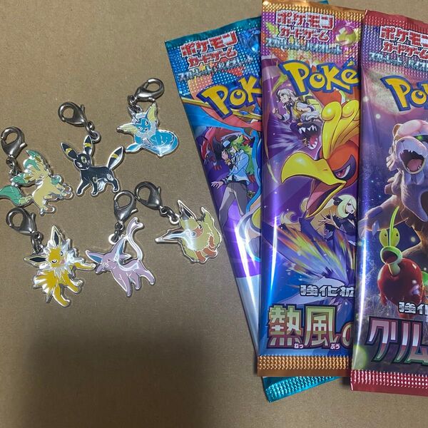 ブイズ メタルチャーム 6個 熱風のアリーナなどのパック 3パックセット まとめ売り ポケモンカードゲーム ポケモンセンター