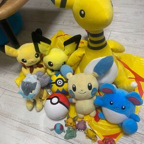 ポケモン ぬいぐるみなど まとめセット ポケモンカード付き