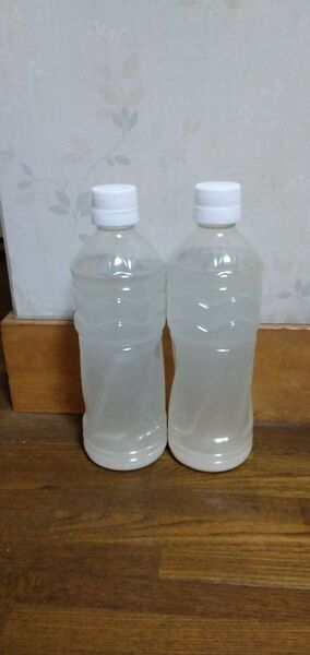 高濃度のゾウリムシ300ml