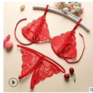 セクシーランジェリー ブラショーツセット シースルー ショーツ 下着 オープンクロッチ Tバック 紐ブラ レッド(1350)