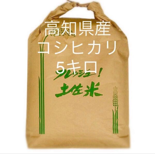 令和6年高知県産コシヒカリ 白米5キロ