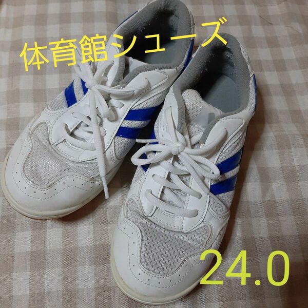 【極美品】体育館シューズ 上履き 中学校 高校 上靴 24.0 青×白 学生 小学生 上靴 体育
