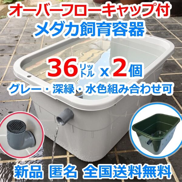 メダカ飼育容器 36㍑x2個 グレー深緑水色選択可 オーバーフローキャップ付 金魚飼育ケース 金魚 タライ ビオトープ 五色アクア