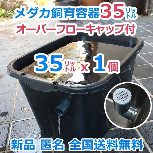 メダカ飼育容器【35㍑ 黒x1個 オーバーフローキャップ付】メダカ飼育ケース 金魚 タライ ビオトープ 【五色アクア】