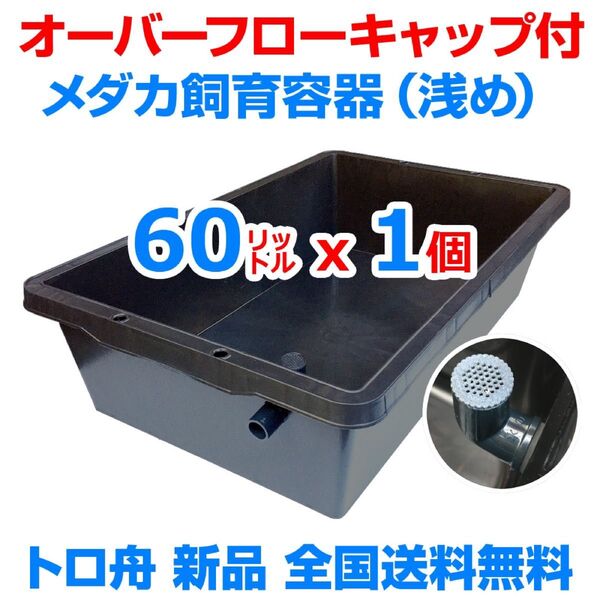 メダカ飼育ケース【60㍑トロ舟x1個 オーバーフローキャップ付】メダカ飼育容器 金魚 めだか掬い 台風対策 ビオトープ 水草