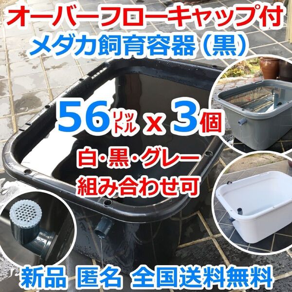 メダカ飼育容器【56㍑ 白黒灰選択可3個 オーバーフローキャップ付】メダカ飼育ケース 金魚 水槽 ビオトープ 水草【五色アクア】