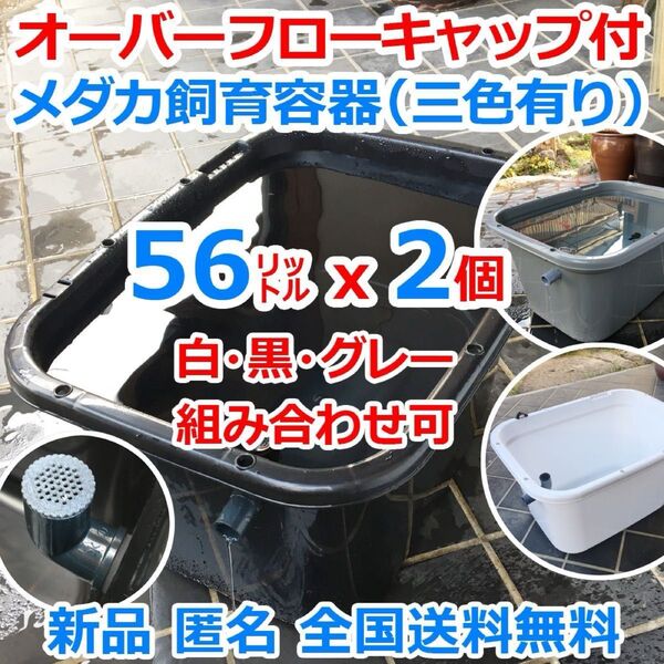 メダカ飼育容器【56㍑ 白黒灰選択可x2個 オーバーフローキャップ付】メダカ飼育ケース 金魚 水槽 ビオトープ 越冬【五色アクア】
