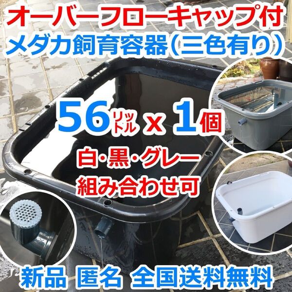 メダカ飼育容器【56㍑ 白黒灰選択可x1個 オーバーフローキャップ付】メダカ飼育ケース 金魚 水槽 ビオトープ 越冬【五色アクア】