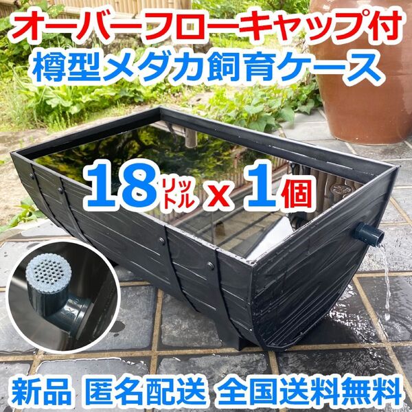 メダカ飼育ケース 樽型【大】黒x1個 オーバーフローキャップ付 メダカ飼育容器 水槽 水草 睡蓮 ビオトープ 金魚鉢【五色アクア】
