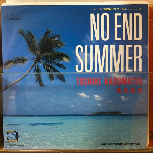 角松敏生 NO END SUMMER レコード
