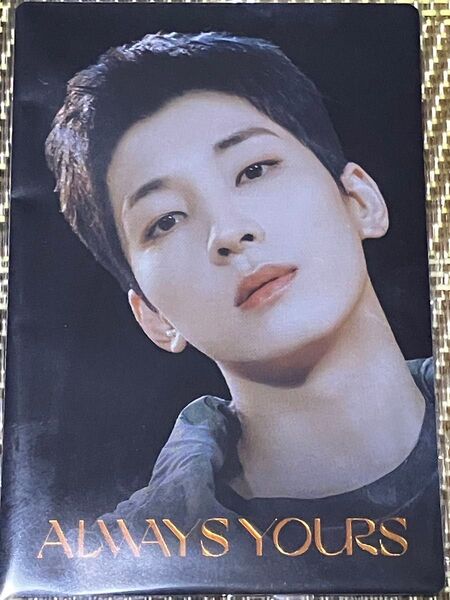 SVT ウエハース SEVENTEEN ALWAYS YOURS WONWOO ウォヌ セブンティーン セブチ グッズ