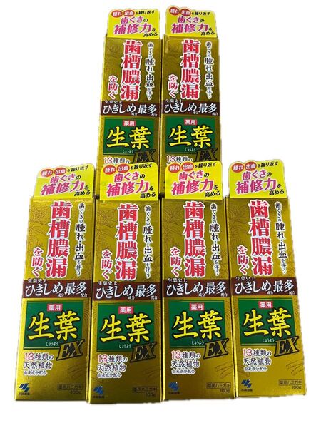 小林製薬 薬用 生葉EX 6本セット