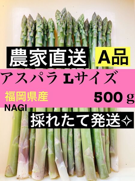 アスパラLサイズ 500g 即購入OKです