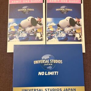 USJ スタジオパス引換券2枚