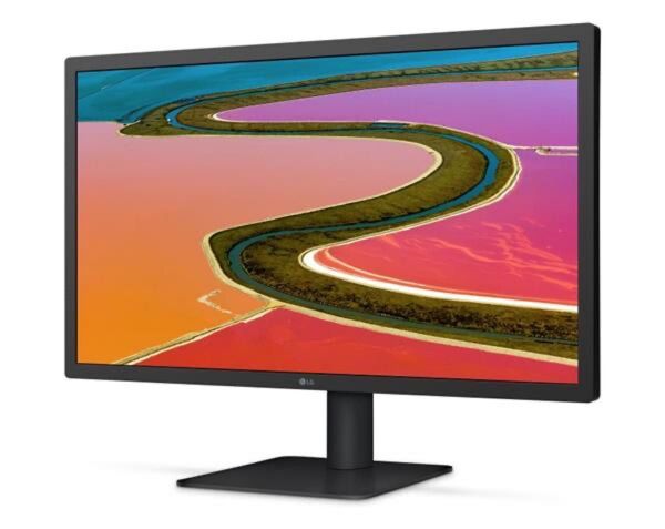 Apple LG Ultrafine 22MD4KA-B 4K 21.5インチモニター