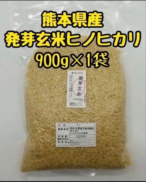 熊本県産 令和6年新米100% 発芽玄米 900g ヒノヒカリ